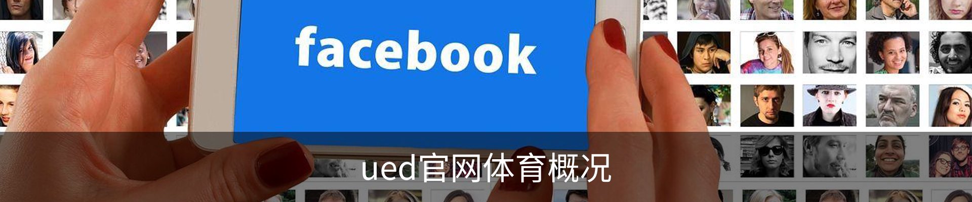 ued官网体育概况